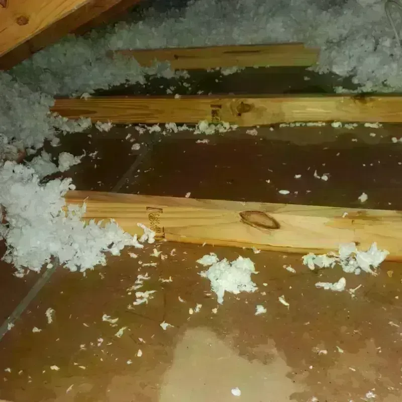 Attic Water Damage in Marblehead, MA